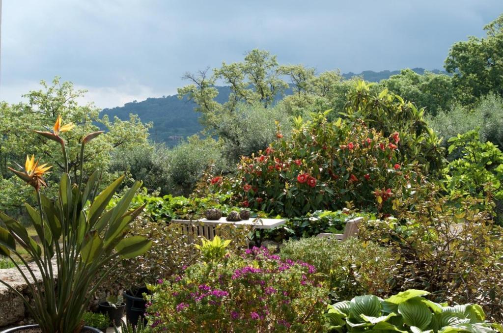 Quinta Da Saimeira Marvão 外观 照片