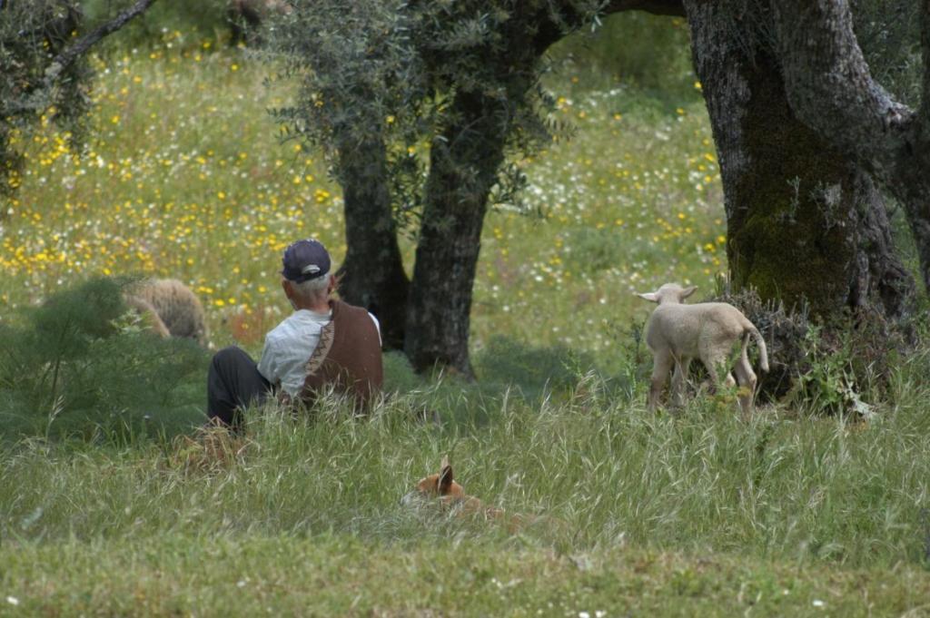 Quinta Da Saimeira Marvão 外观 照片