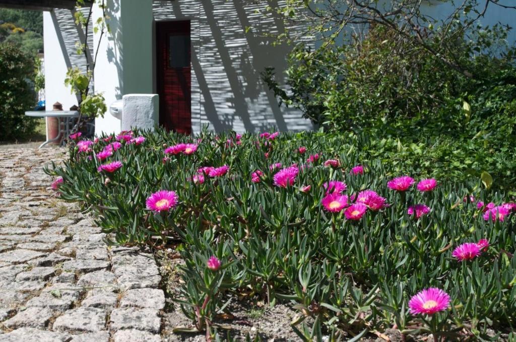 Quinta Da Saimeira Marvão 外观 照片